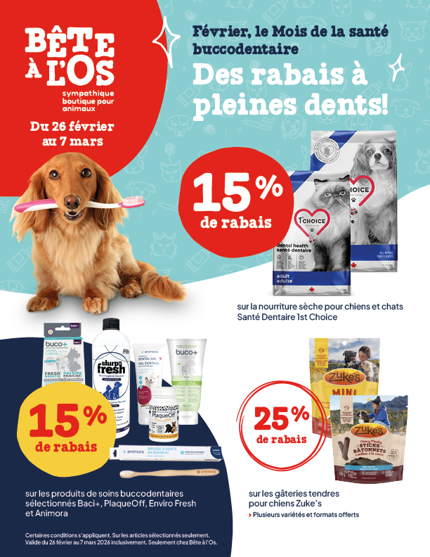 P-1968_BeteAl'OS_Circulaire_Fevrier2026_1