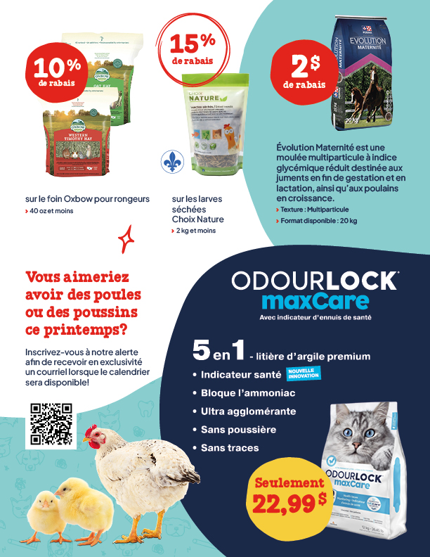 P-1968_BeteAl'OS_Circulaire_Fevrier2026_4