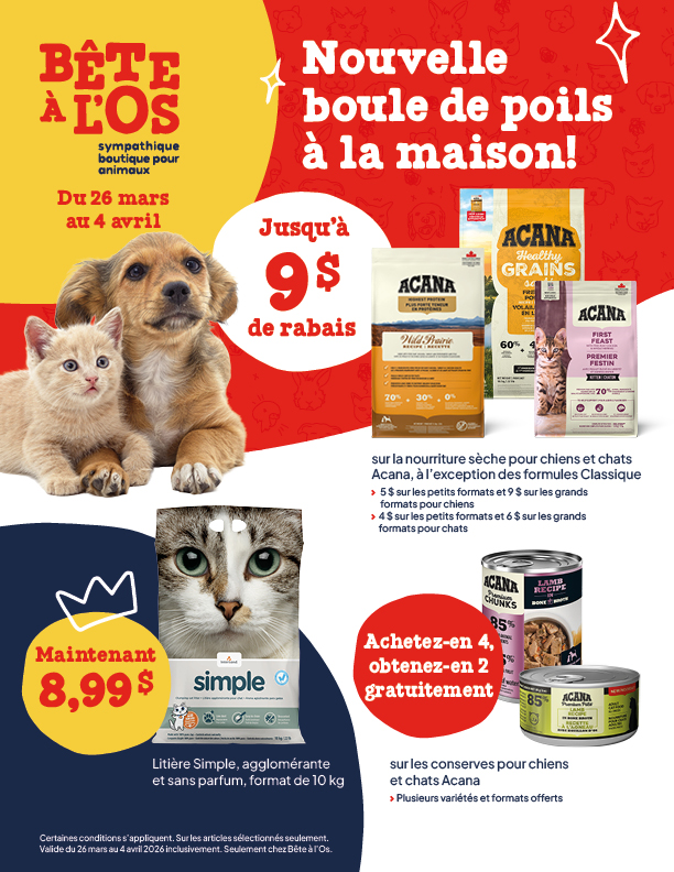 P-1968_BeteAl'OS_Circulaire_Mars2026_1