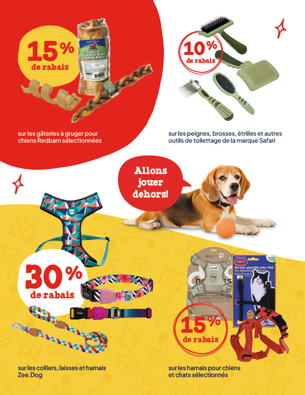 P-1968_BeteAl'OS_Circulaire_Mars2026_3