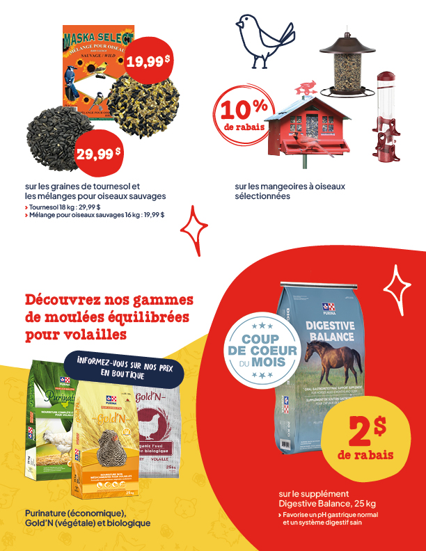 P-1968_BeteAl'OS_Circulaire_Mars2026_4